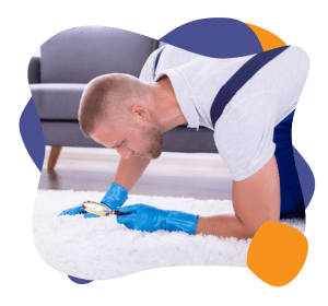 Carpet Cleaning Inspection